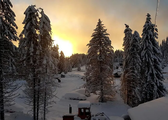 Apartman Jelac Konaci 科帕奥尼克