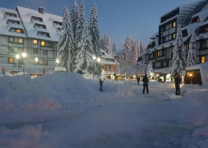 Apartman Jelac Konaci 科帕奥尼克