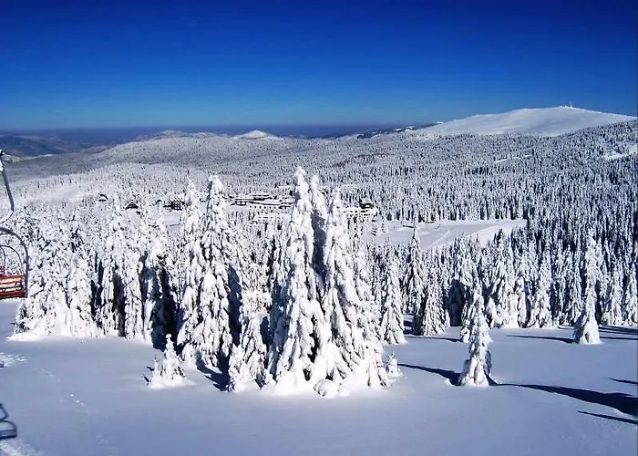 Apartman Jelac Konaci 科帕奥尼克